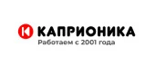Как юзабилити интернет-магазина телевизоров kaprionika.ru повысило время пользователей на сайте в 2,6 раза, а конверсию магазина - на 100%