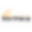 Саркисян В. Г.