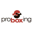 ООО «ПРО БОКСИНГ»