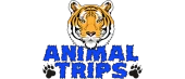 Как юзабилити animaltrips.by повысило количество обращений с сайта в 2,15 раза