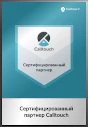 Сертифицированный партнер Calltouch