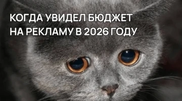Стоимость рекламы «Яндекс Директ» в 2025 году