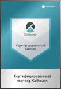 Сертифицированный партнер Calltouch 