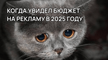 Стоимость рекламы «Яндекс Директ» в 2025 году