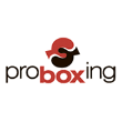 ООО «ПРО БОКСИНГ»