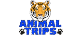 Как юзабилити animaltrips.by повысило количество обращений с сайта в 2,15 раза