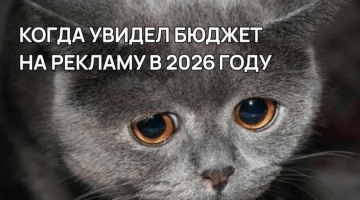 Стоимость рекламы «Яндекс Директ» в 2026 году